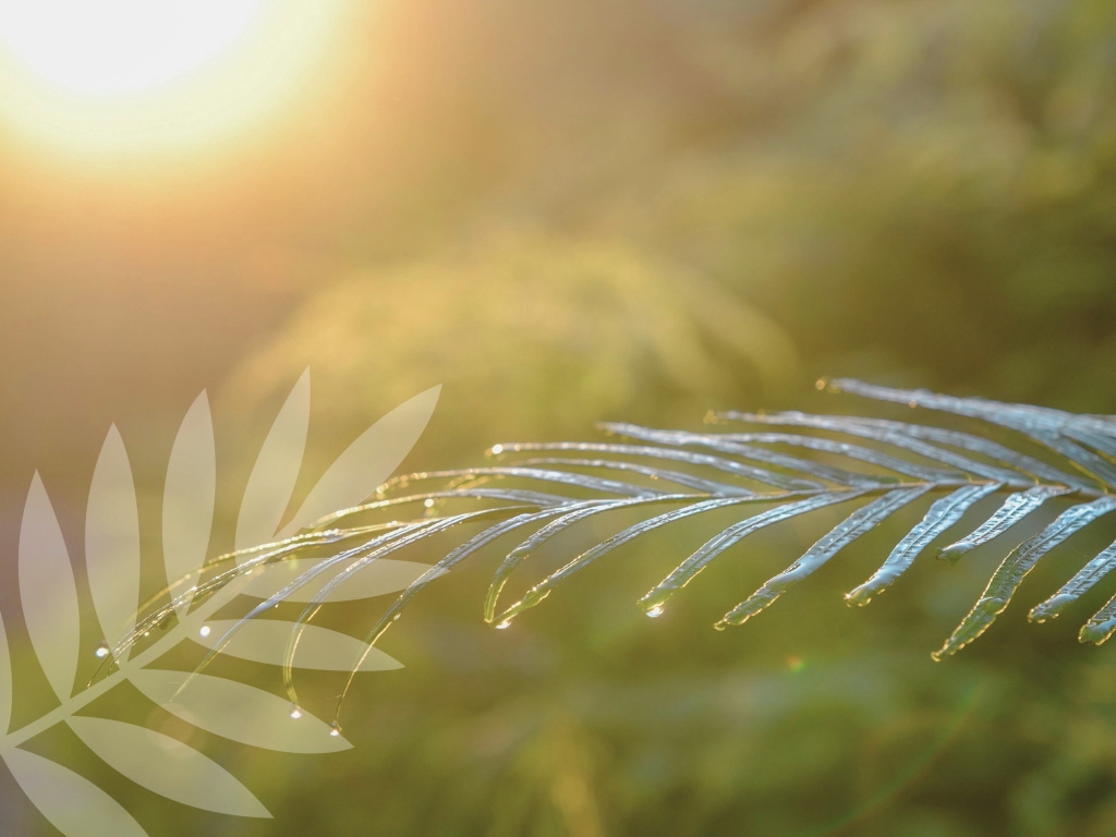 create a good routine and ritual that feels manageable and repeatable for self care of your skin