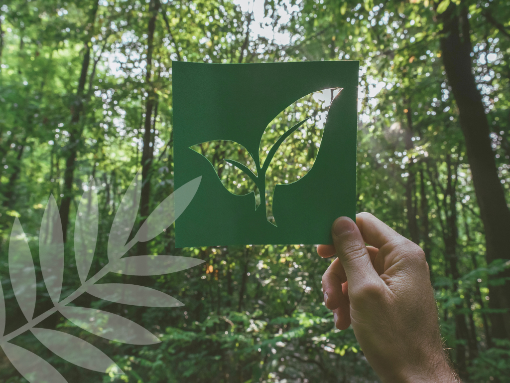 sustainable beauty in skincare