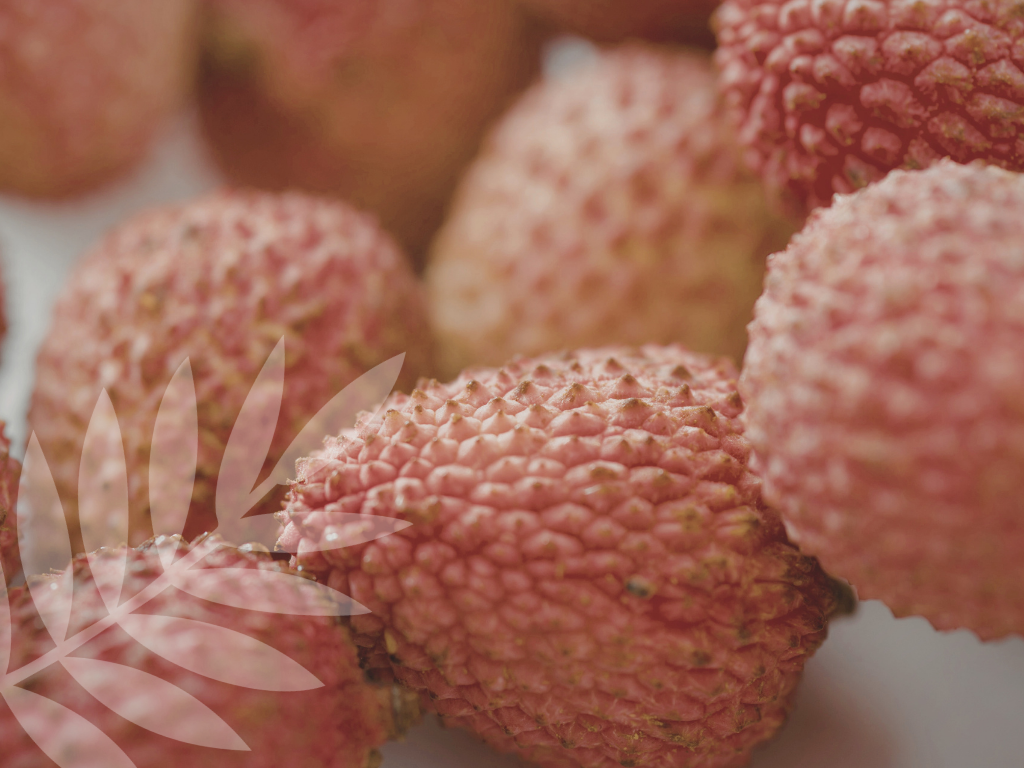 ingredients that smooth bumpy skin: glycerin, PHAs, lactic acid, colloidal oat, and barrier‑supporting ceramides.