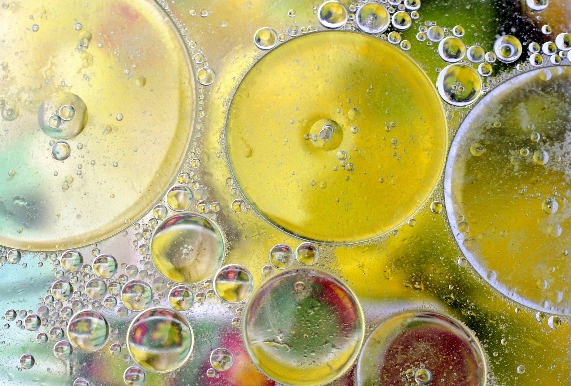 Ceramides and skin barrier