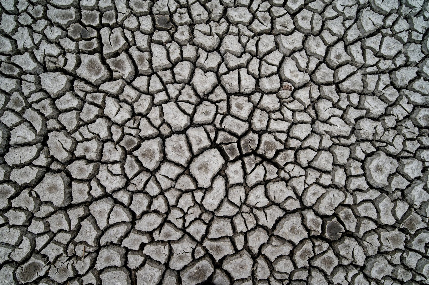 Aerial view of cracked dry earth surface in Schiermonnikoog, depicting drought effect.