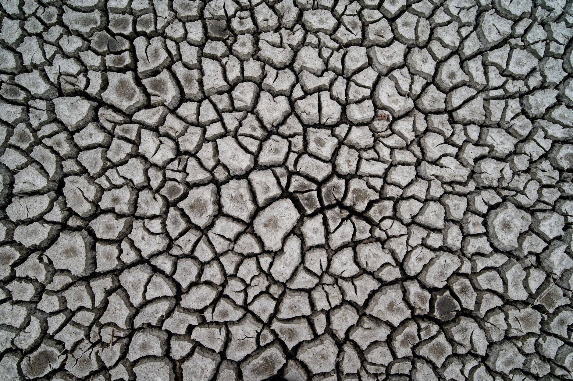 Aerial view of cracked dry earth surface in Schiermonnikoog, depicting drought effect.