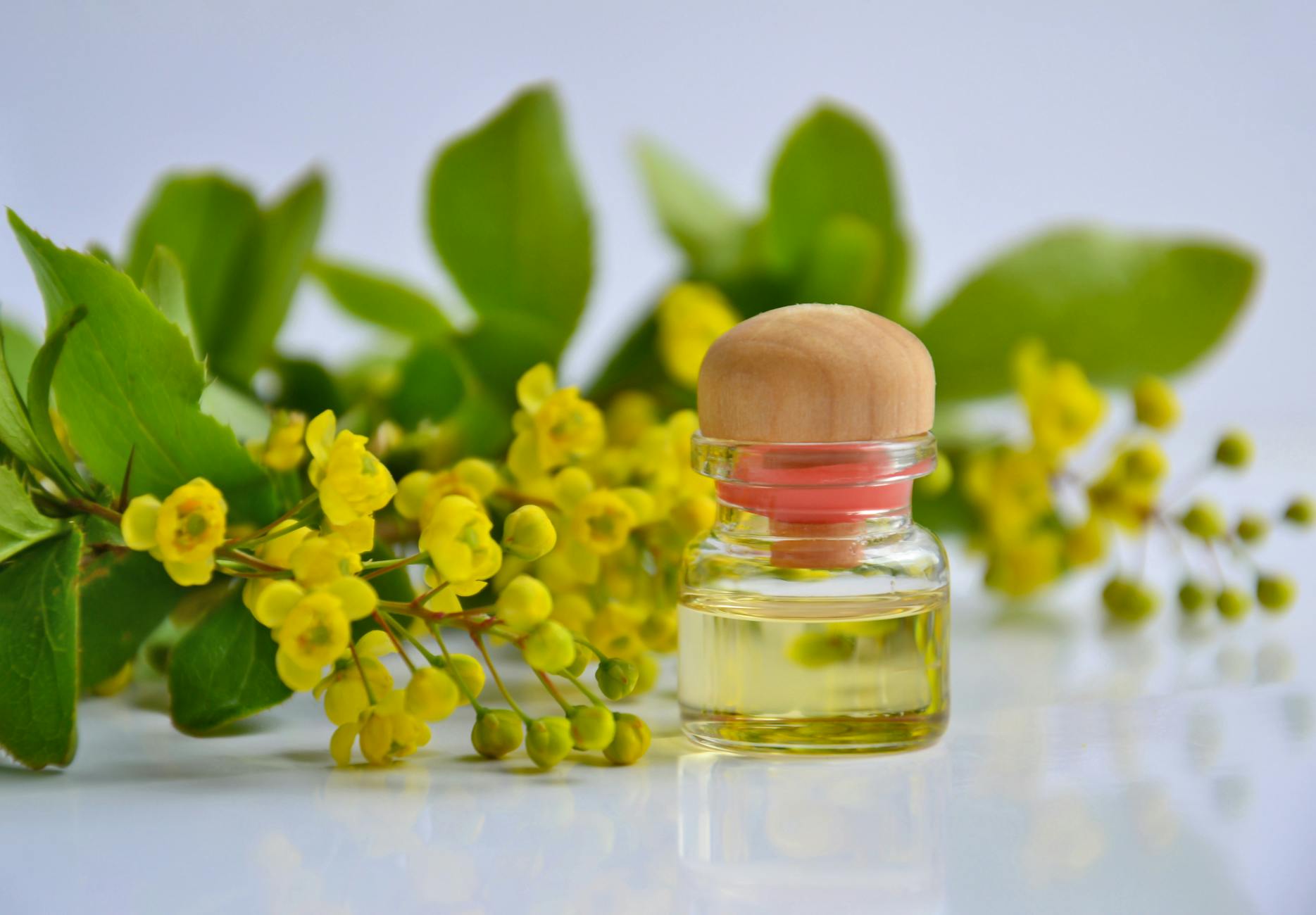Aromatic essential oil in a glass bottle with fresh yellow flowers and green leaves.