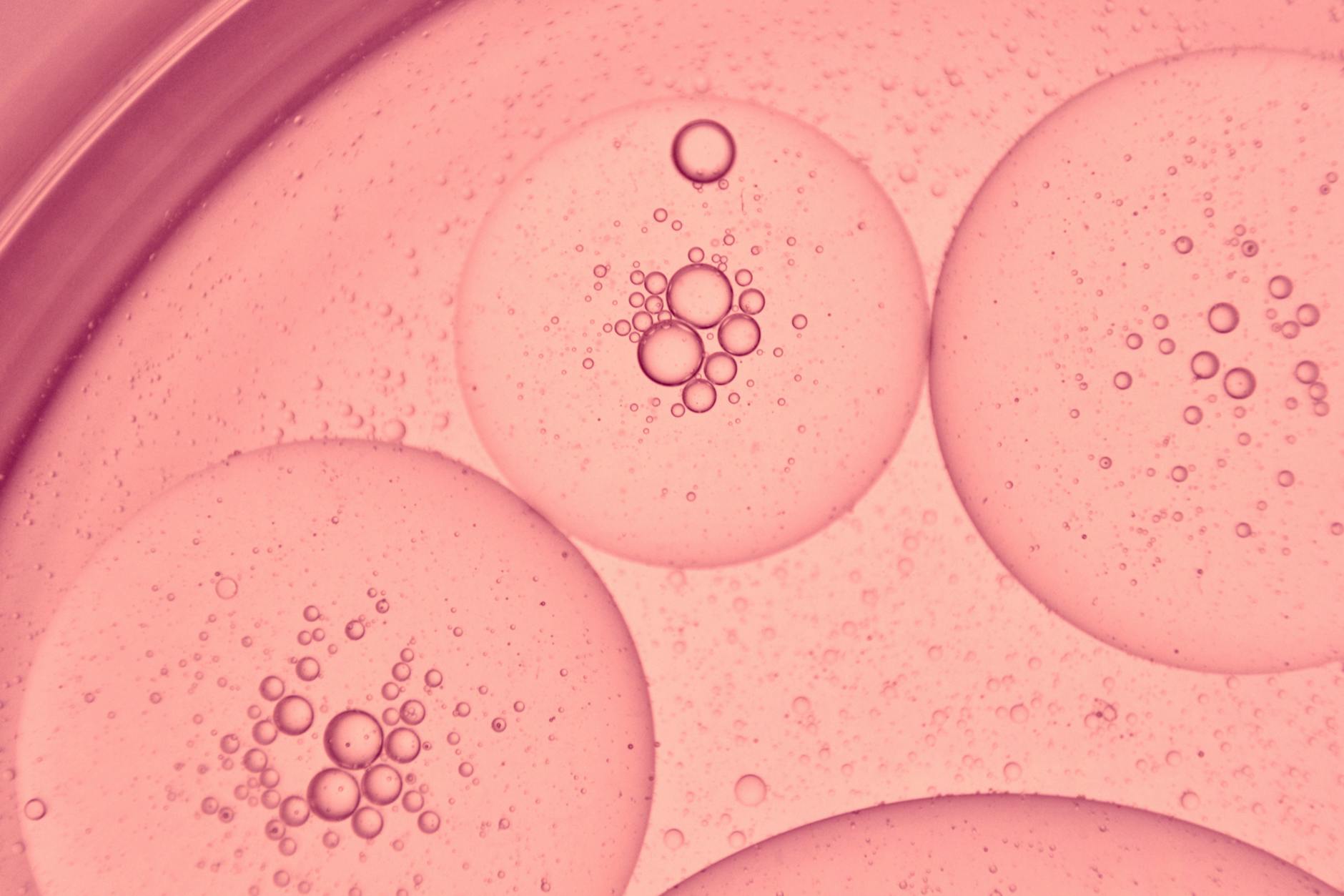Stunning macro photo of pink oil bubbles in water, showcasing a microscopic view with intricate patterns.